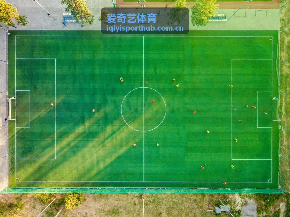 爱奇艺体育球队数据深度分析图表